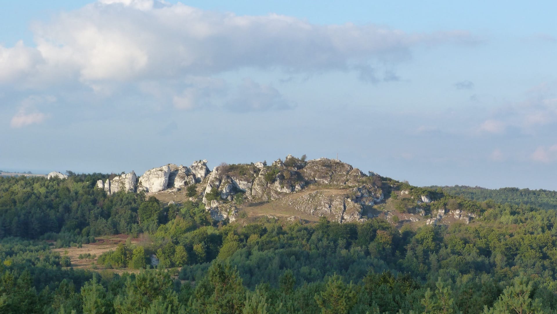 Panorama Góry Zborów
