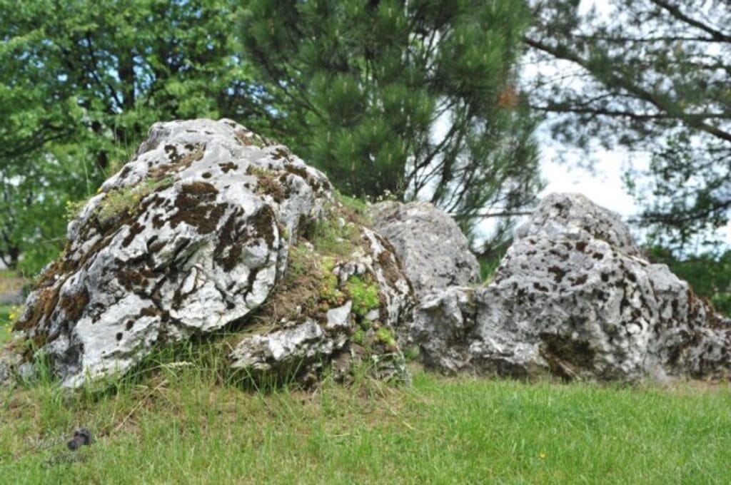 Budynek Zajazdu – Zajazd Magda zdjęcie 4