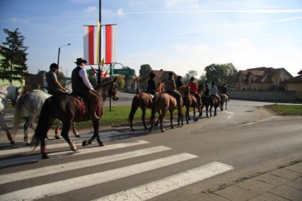 Hubertus – Zajazd Magda zdjęcie 6