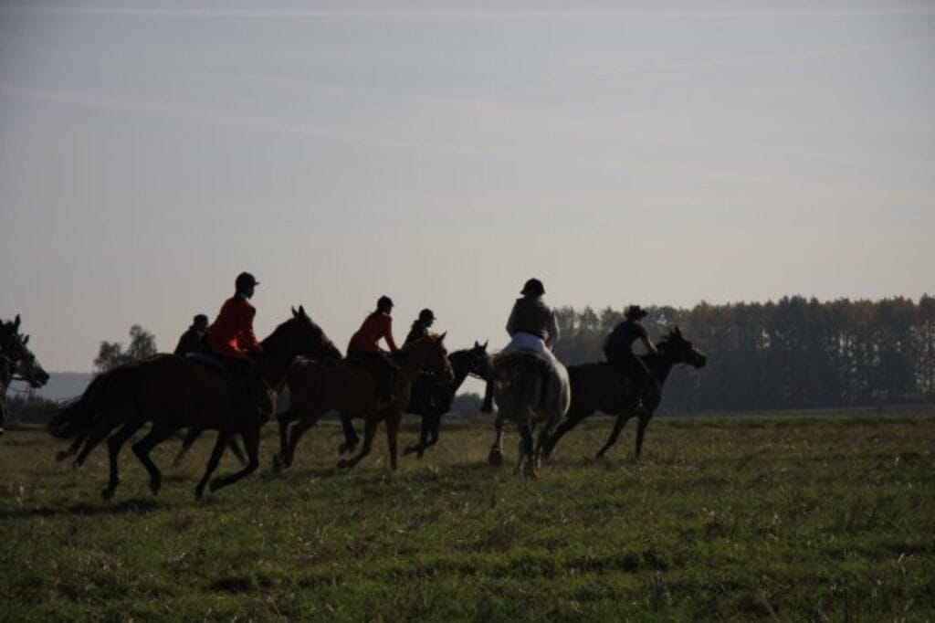Hubertus – Zajazd Magda zdjęcie 11