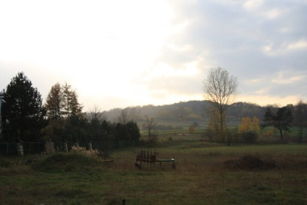 Jura Krakowsko-Częstochowska – Zajazd Magda zdjęcie 3