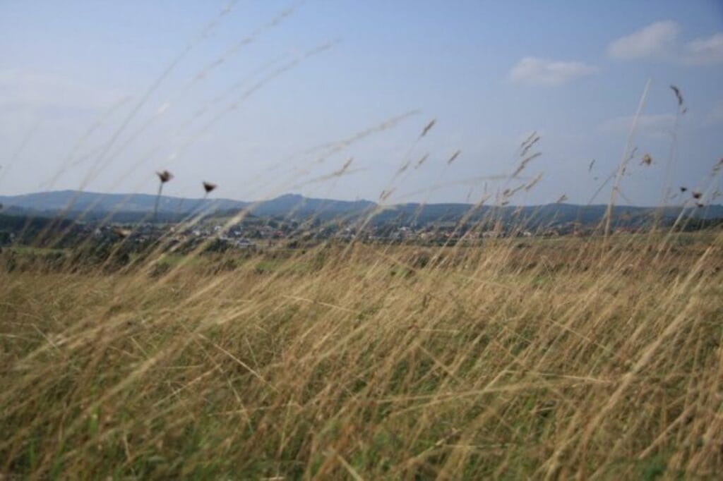 Jura Krakowsko-Częstochowska – Zajazd Magda zdjęcie 4