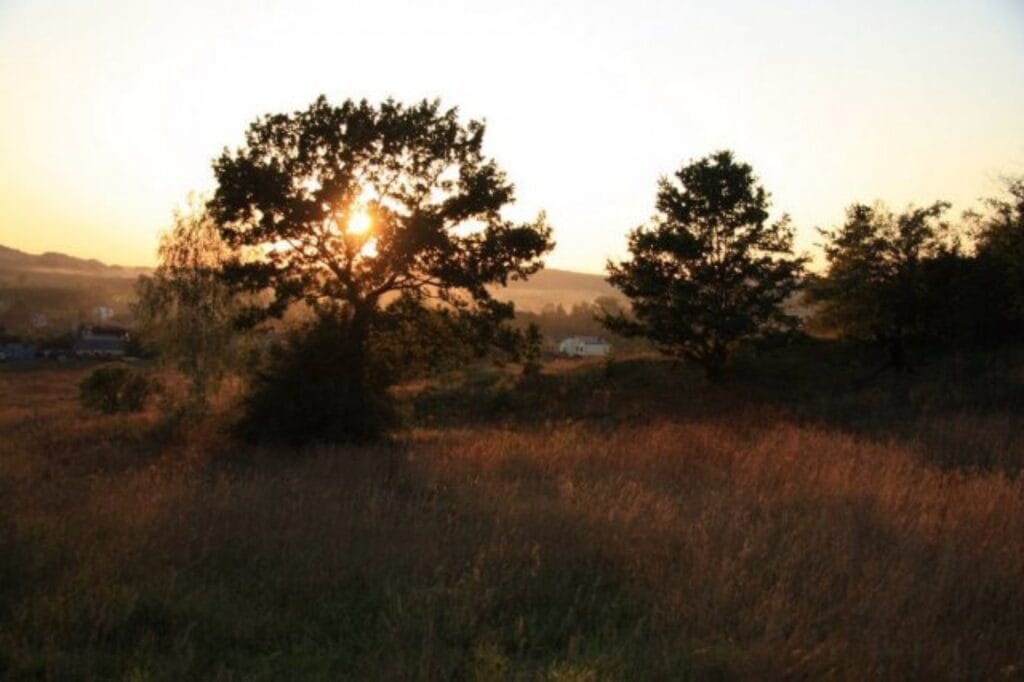 Jura Krakowsko-Częstochowska – Zajazd Magda zdjęcie 5