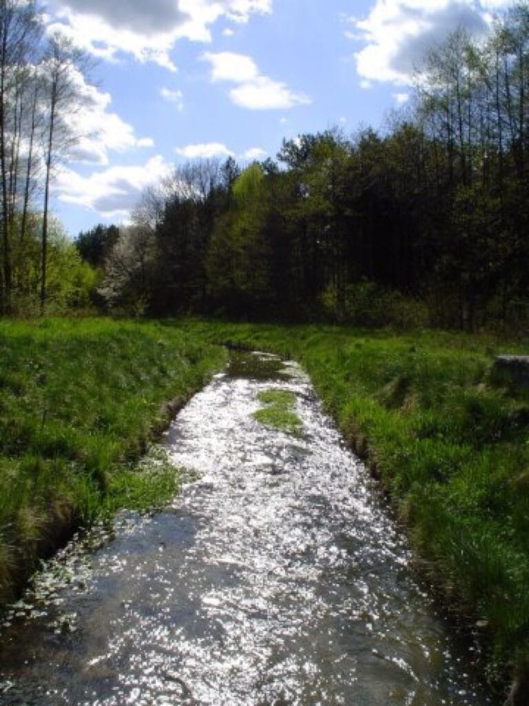 Jura Krakowsko-Częstochowska – Zajazd Magda zdjęcie 8