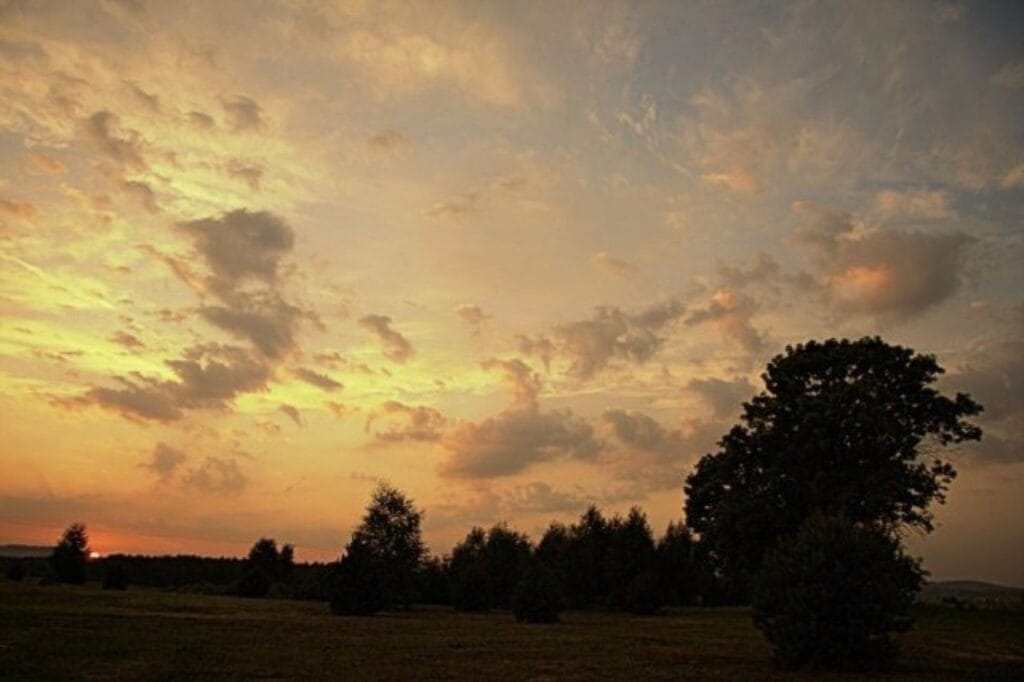 Jura Krakowsko-Częstochowska – Zajazd Magda zdjęcie 11