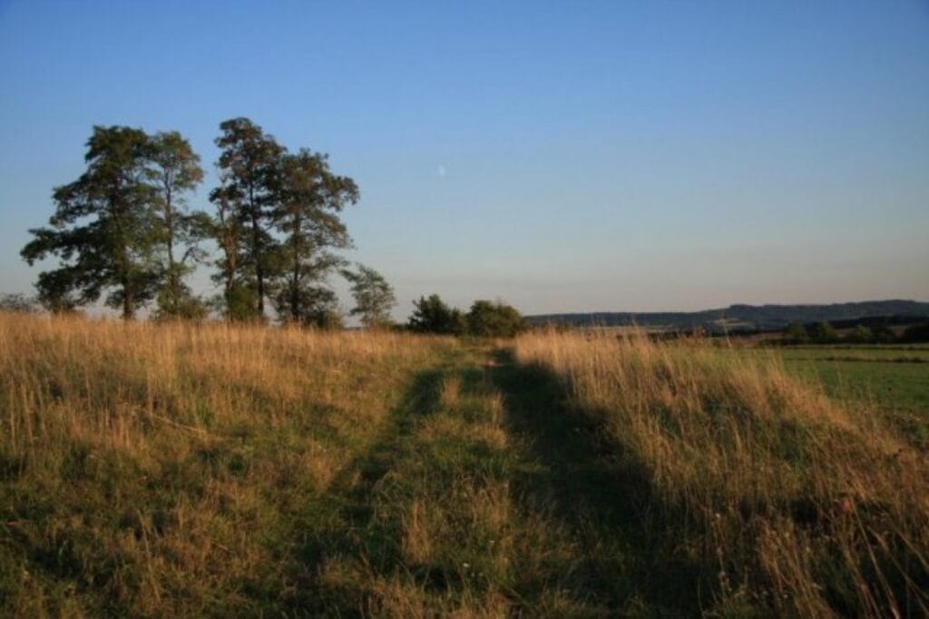 Jura Krakowsko-Częstochowska – Zajazd Magda zdjęcie 12