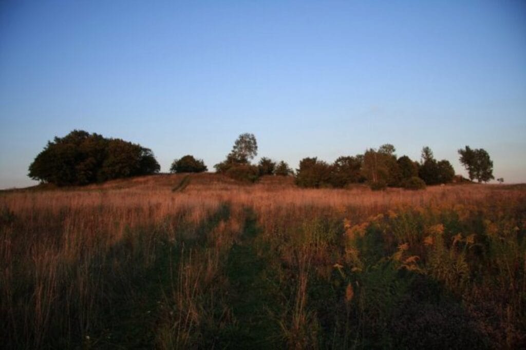 Jura Krakowsko-Częstochowska – Zajazd Magda zdjęcie 14