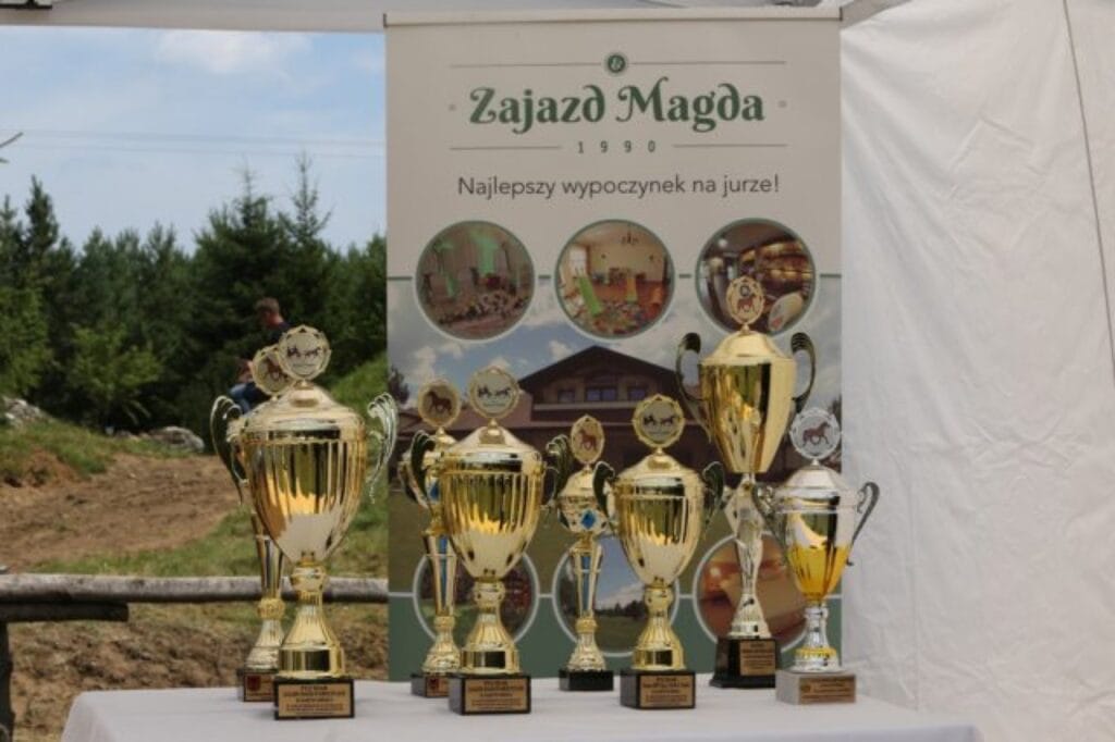 Zawody w powożeniu – Zajazd Magda zdjęcie 2